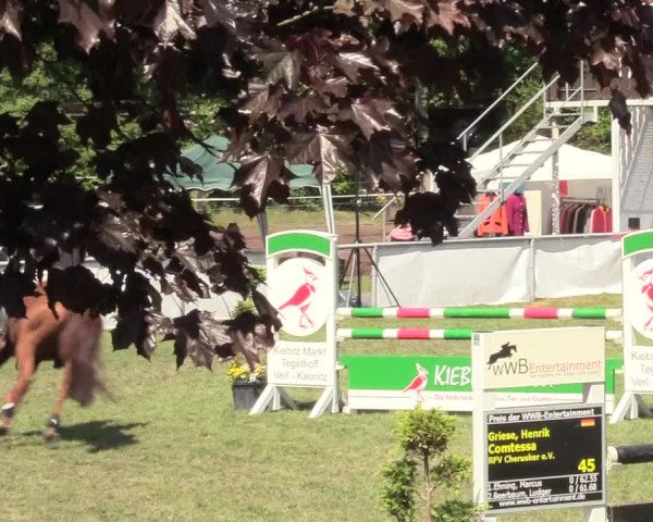 Reitturnier Stukenbrock 2017