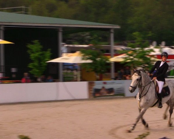 Reitturnier Oberfrauendorf 2017