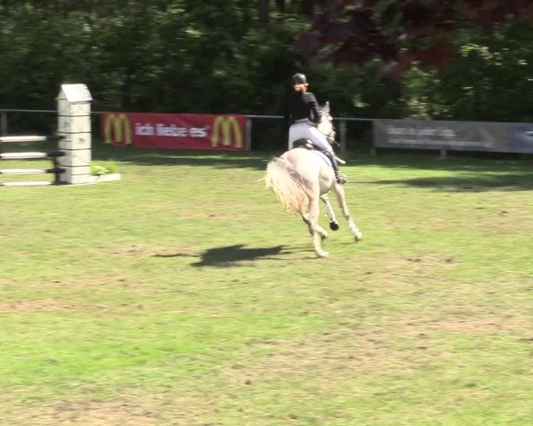 Reitturnier Stukenbrock 2017