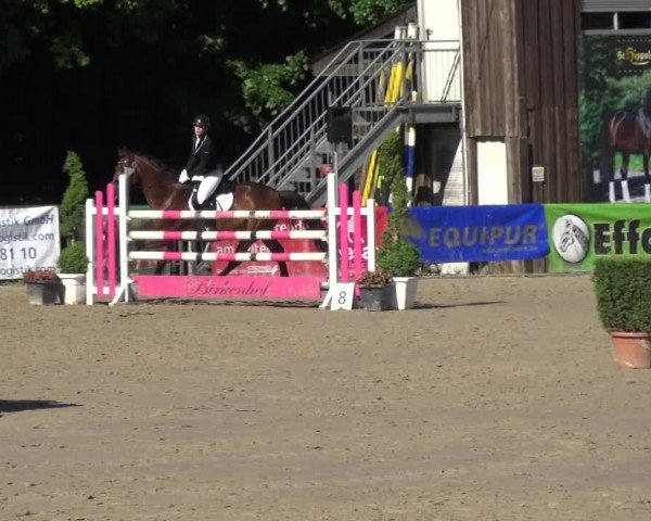 Reitturnier Remscheid, Buscher Hof 2017