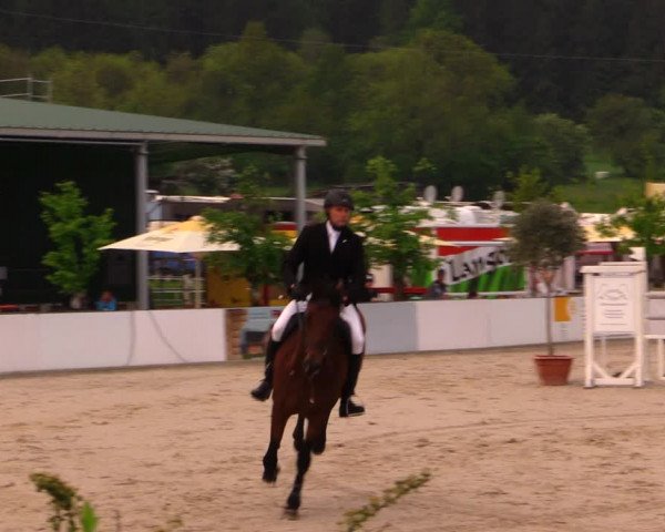 Reitturnier Oberfrauendorf 2017