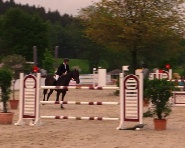 Reitturnier Oberfrauendorf 2017