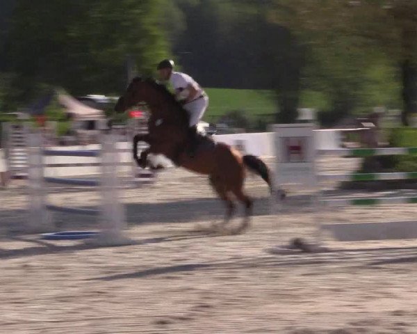 Reitturnier Oberfrauendorf 2017