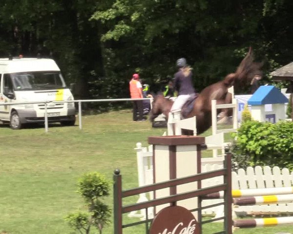 Reitturnier Stukenbrock 2017
