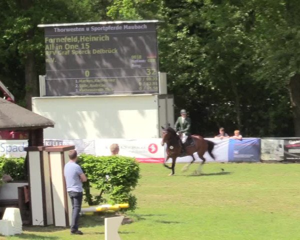 Reitturnier Stukenbrock 2017