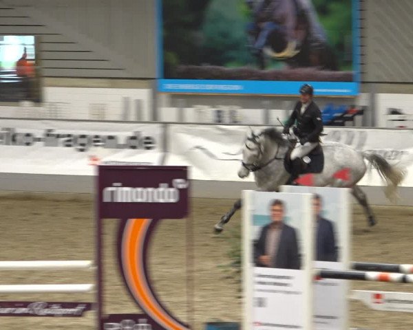 Reitturnier Luhmühlen 2021