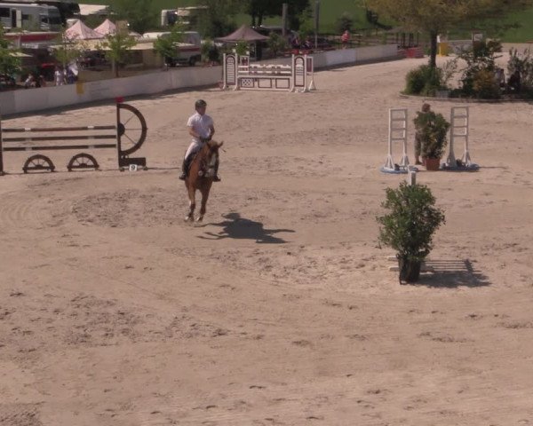Reitturnier Oberfrauendorf 2017
