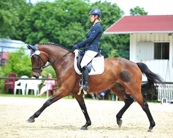 dressage horse Maybe Today (Westphalian, 2012, from Montafon)