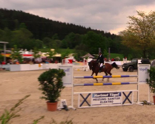 Reitturnier Oberfrauendorf 2017