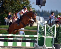 jumper Camira 96 (Westphalian, 2013, from Christdorn)