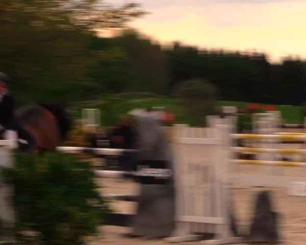 Reitturnier Oberfrauendorf 2017