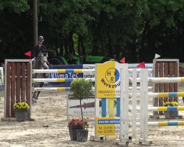 Reitturnier Remscheid, Buscher Hof 2017