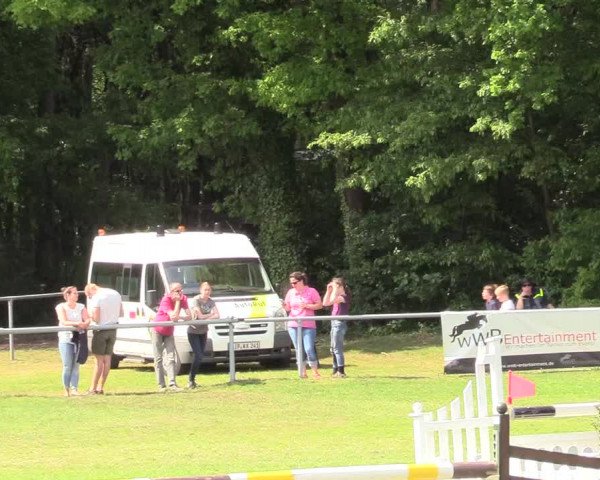 Reitturnier Stukenbrock 2017