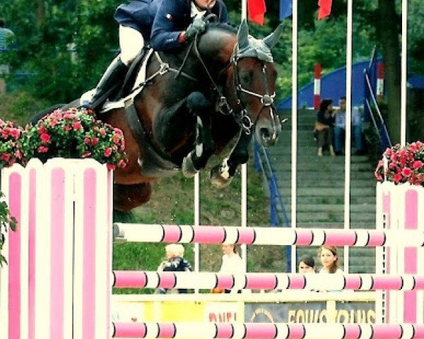 stallion Lutin du Hequet (Selle Français, 1999, from Eyken des Fontenis)