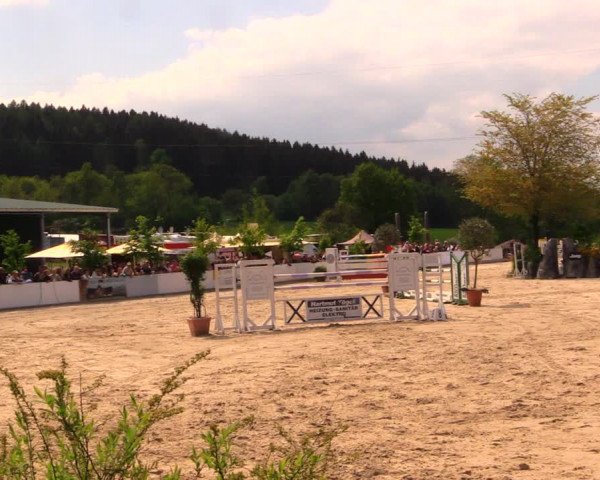 Reitturnier Oberfrauendorf 2017