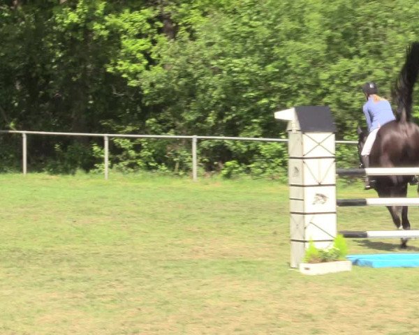 Reitturnier Stukenbrock 2017