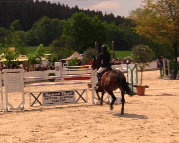 Reitturnier Oberfrauendorf 2017