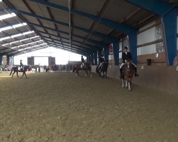 Reitturnier Remscheid, Buscher Hof 2017