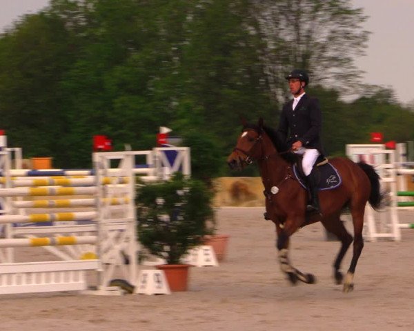 Reitturnier Oberfrauendorf 2017
