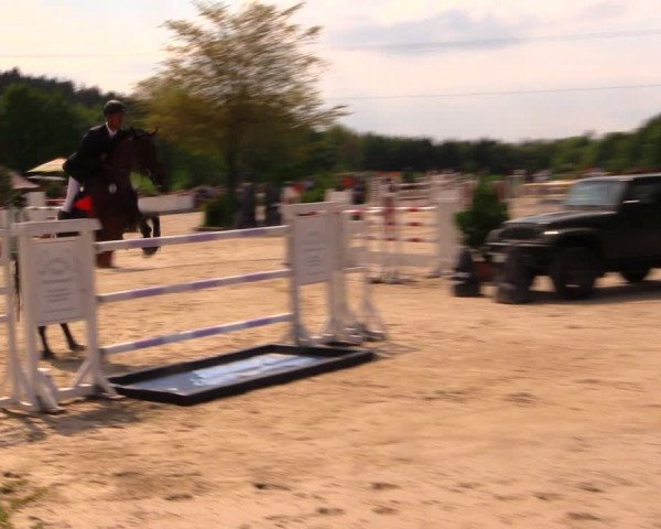 Reitturnier Oberfrauendorf 2017