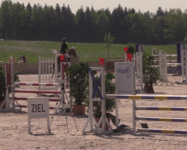 Reitturnier Oberfrauendorf 2017