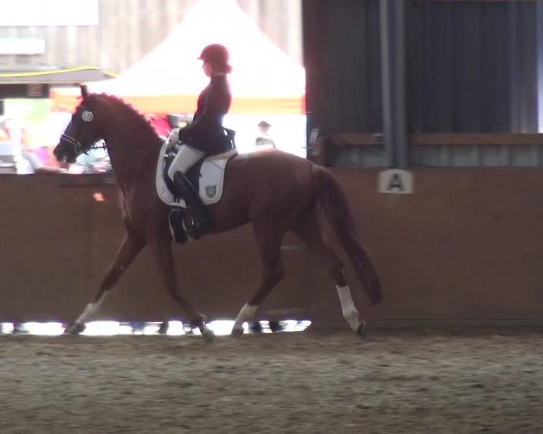 Reitturnier Remscheid, Buscher Hof 2017