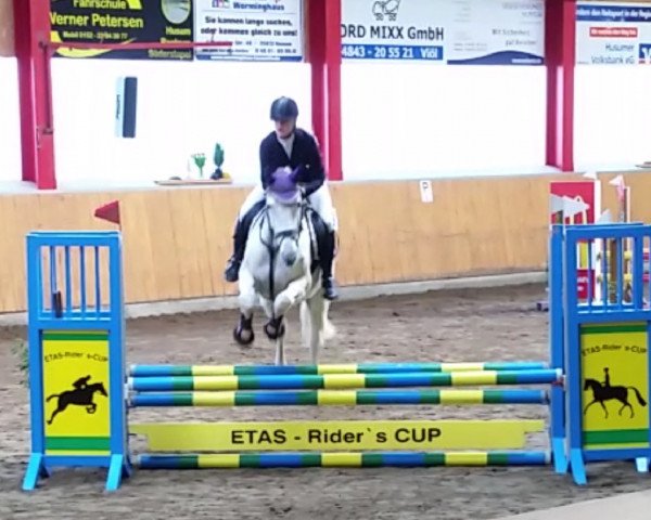 jumper Rolex's Chica (German Warmblood, 1996, from Rolex) jumper Rolex's Chica (German Warmblood, 1996, from Rolex)