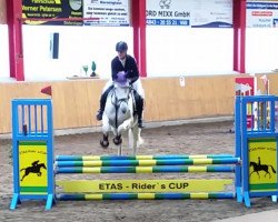 jumper Rolex's Chica (German Warmblood, 1996, from Rolex)