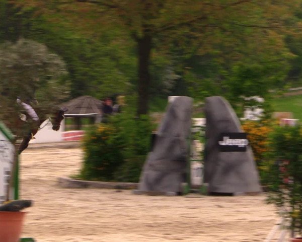 Reitturnier Oberfrauendorf 2017