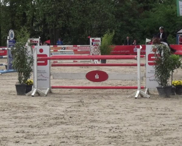 Reitturnier Remscheid, Buscher Hof 2017