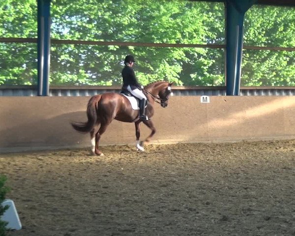 Reitturnier Remscheid, Buscher Hof 2017