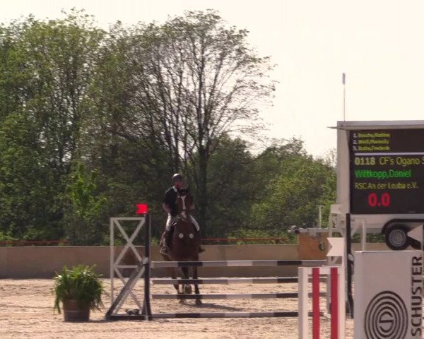 Reitturnier Oberfrauendorf 2017
