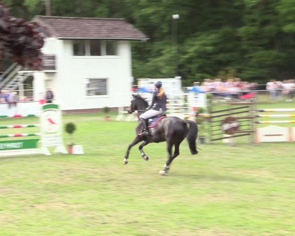 Reitturnier Stukenbrock 2017