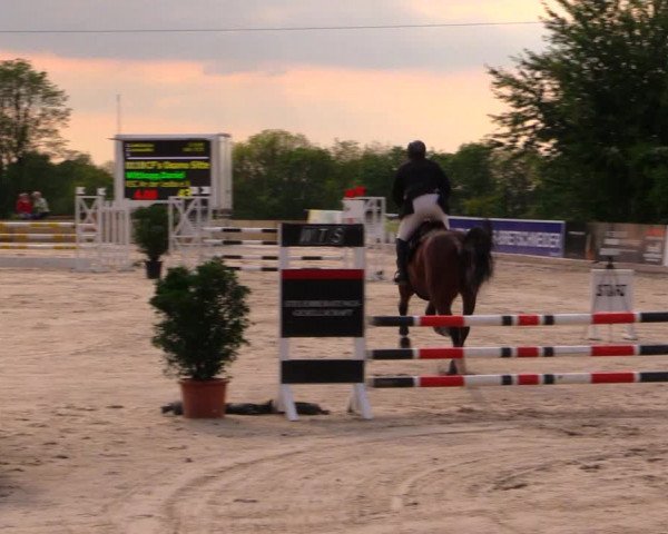 Reitturnier Oberfrauendorf 2017