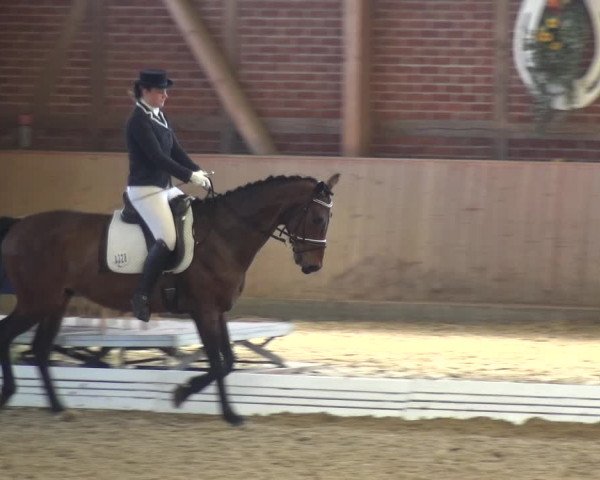 Reitturnier Köln-Leverkusen 2017