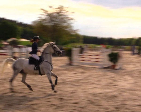 Reitturnier Oberfrauendorf 2017