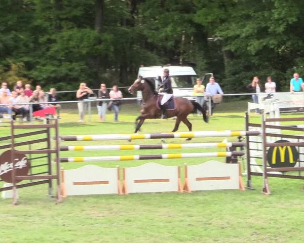 Reitturnier Stukenbrock 2017