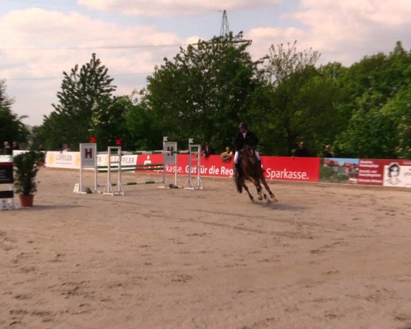Reitturnier Oberfrauendorf 2017