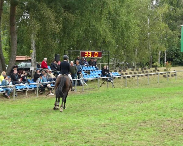 Dannenberger Reitertage 2021