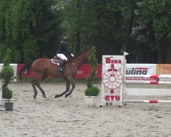 Reitturnier Remscheid, Buscher Hof 2017