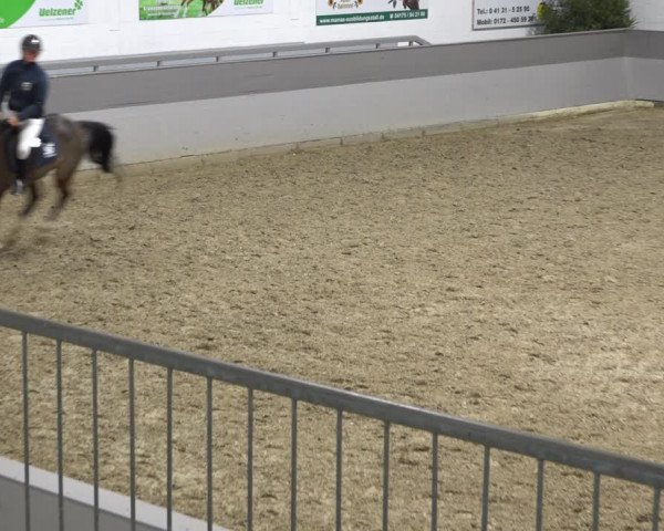 Reitturnier Luhmühlen 2021