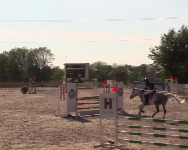 Reitturnier Oberfrauendorf 2017