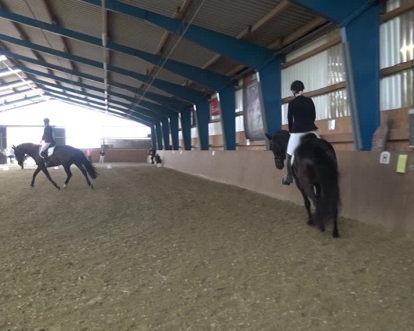 Reitturnier Remscheid, Buscher Hof 2017