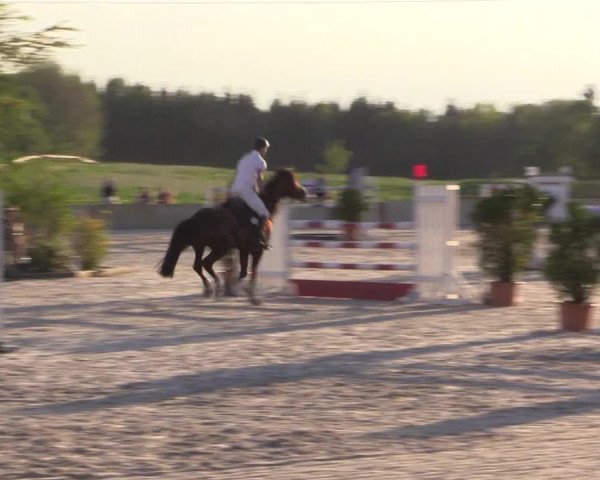 Reitturnier Oberfrauendorf 2017