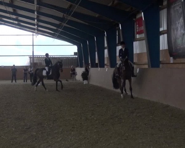Reitturnier Remscheid, Buscher Hof 2017