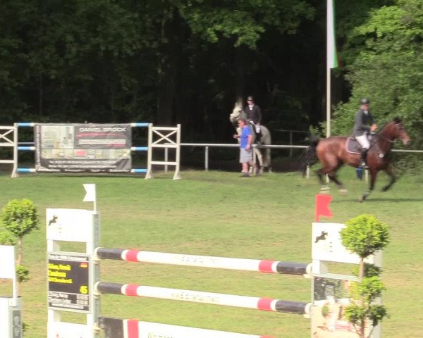 Reitturnier Stukenbrock 2017