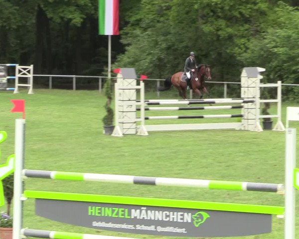 Reitturnier Stukenbrock 2017