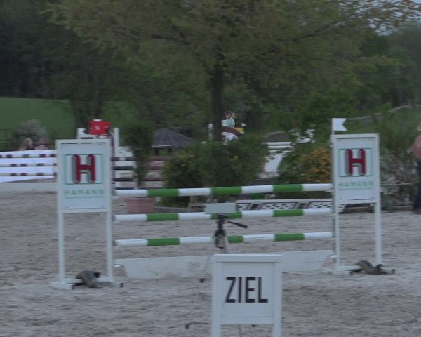 Reitturnier Oberfrauendorf 2017