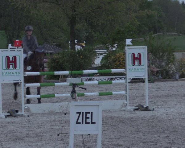 Reitturnier Oberfrauendorf 2017