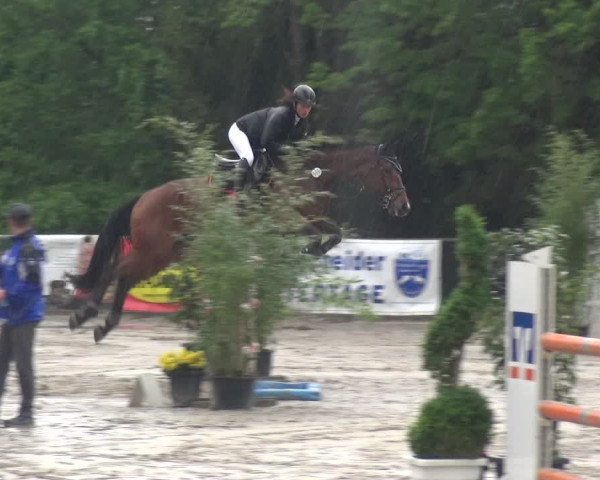Reitturnier Remscheid, Buscher Hof 2017